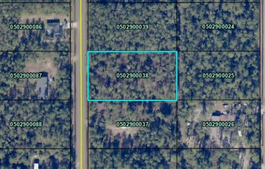 9910 Baylor Ave, Hastings, FL 32145 - #2