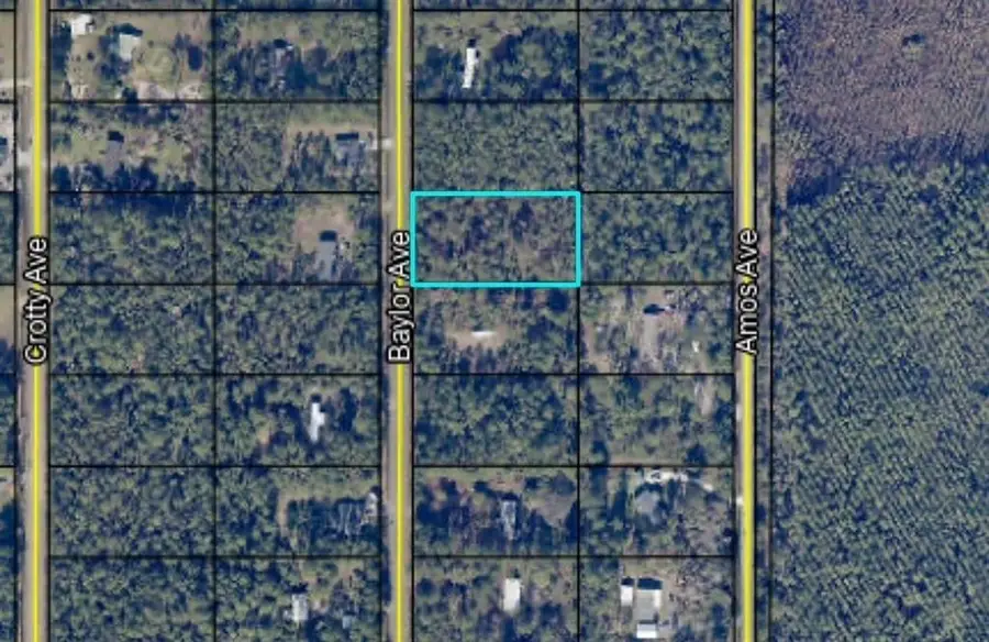 9910 Baylor Ave, Hastings, FL 32145 - #3