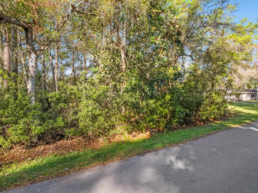 0 Pine Cir, Saint Augustine, FL 32095 - #3