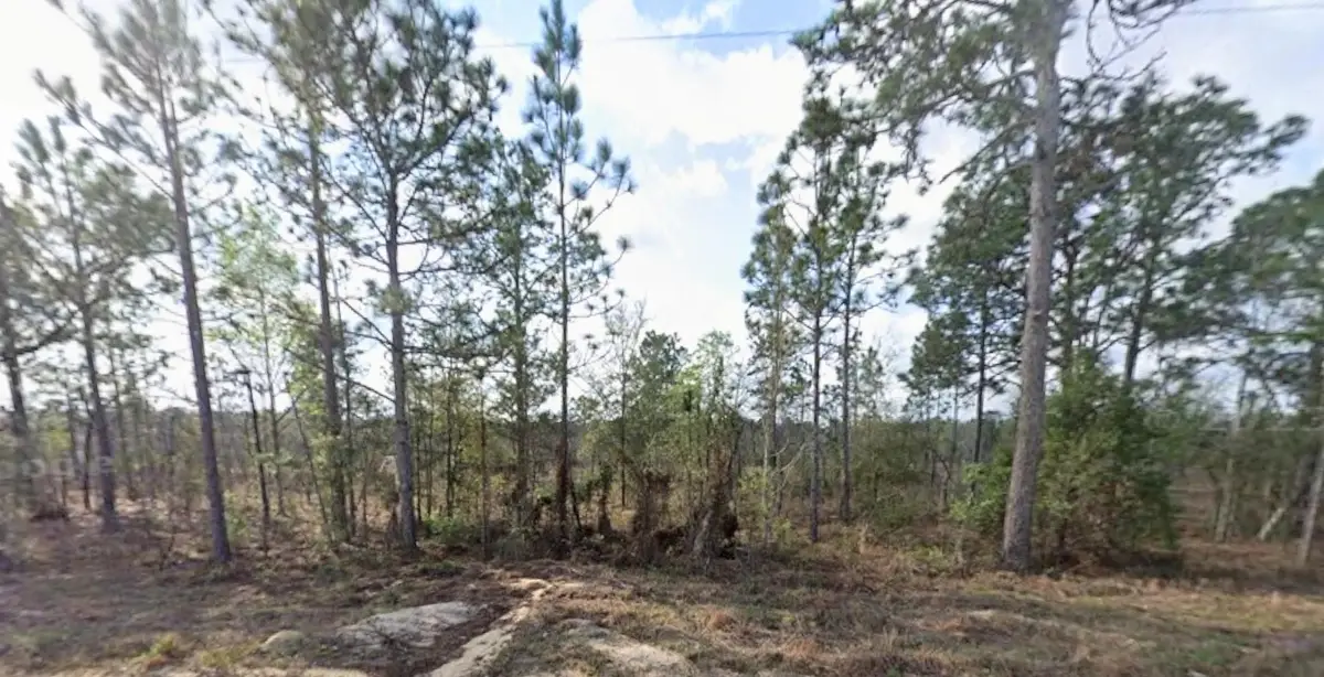 TBD Union Ave, Interlachen, FL 32148 - #1