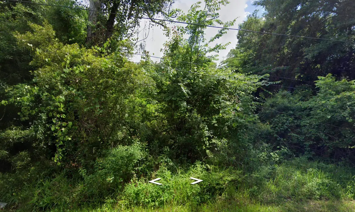 905 S Saint Johns St, Saint Augustine, FL 32084 - #1