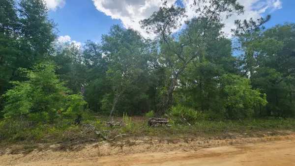 Marion Street, Interlachen, FL 32148