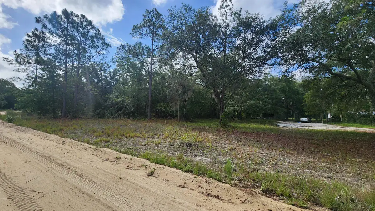 00 Britt St, Interlachen, FL 32148 - #1