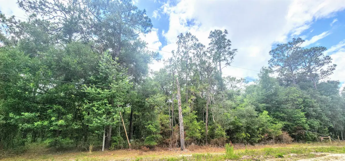 415 Pheasant Rd, Satsuma, FL 32189 - #1