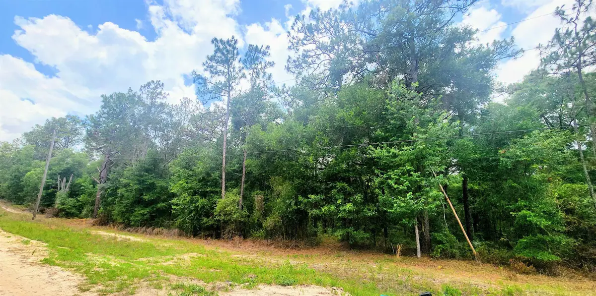 413 Pheasant Rd, Satsuma, FL 32189 - #1