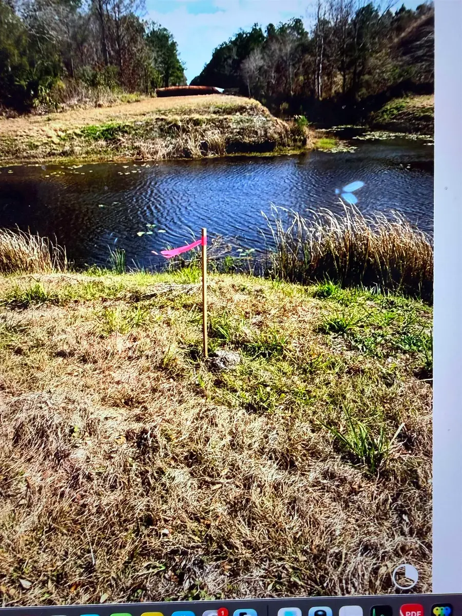 10570 W Deep Creek Blvd, Hastings, FL 32145 - #2