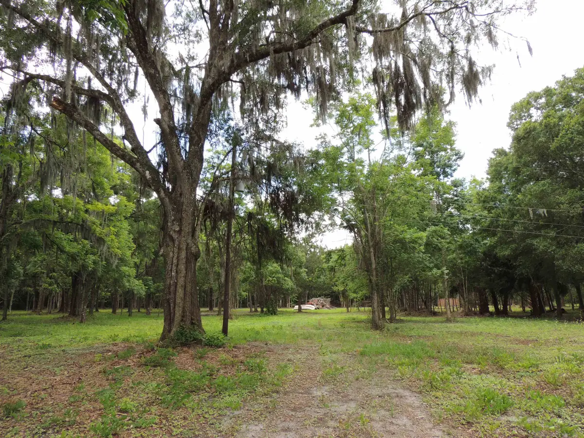 5195 Kelly Rd, Hastings, FL 32145 - #1