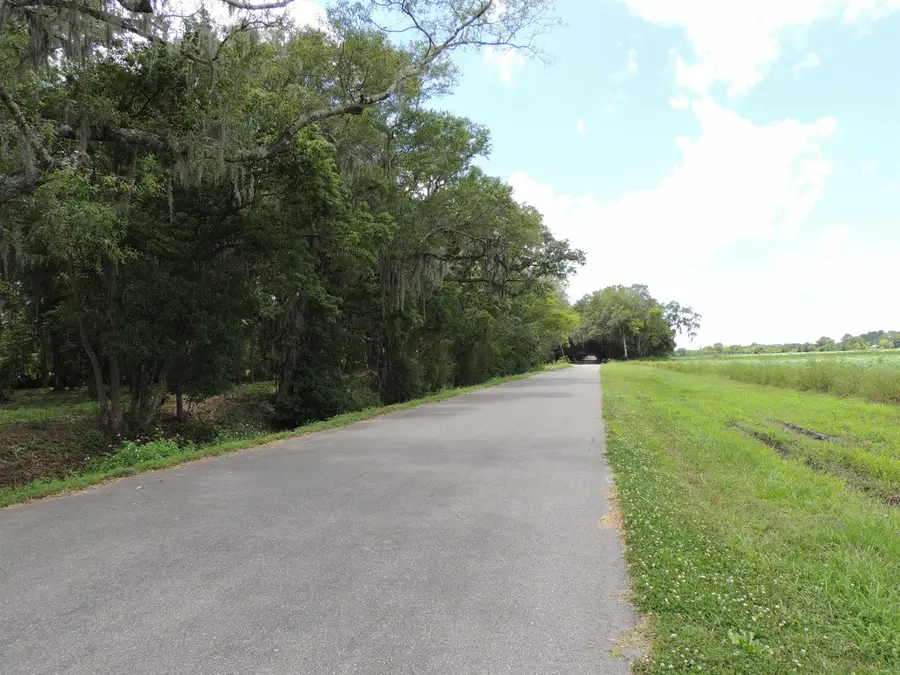 5195 Kelly Rd, Hastings, FL 32145 - #3