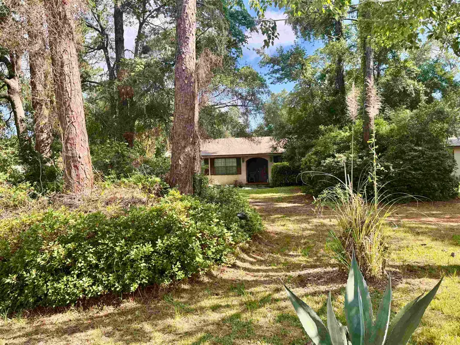 554 Hayley, Saint Augustine, FL 32086 - #3