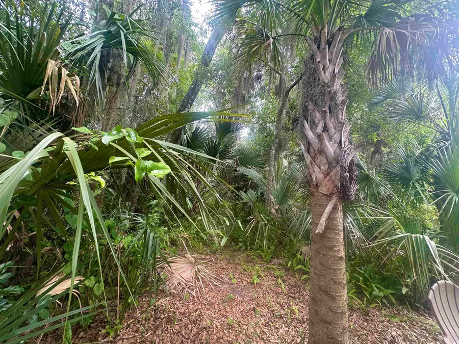 26 S Whitney St, Saint Augustine, FL 32084 - #3