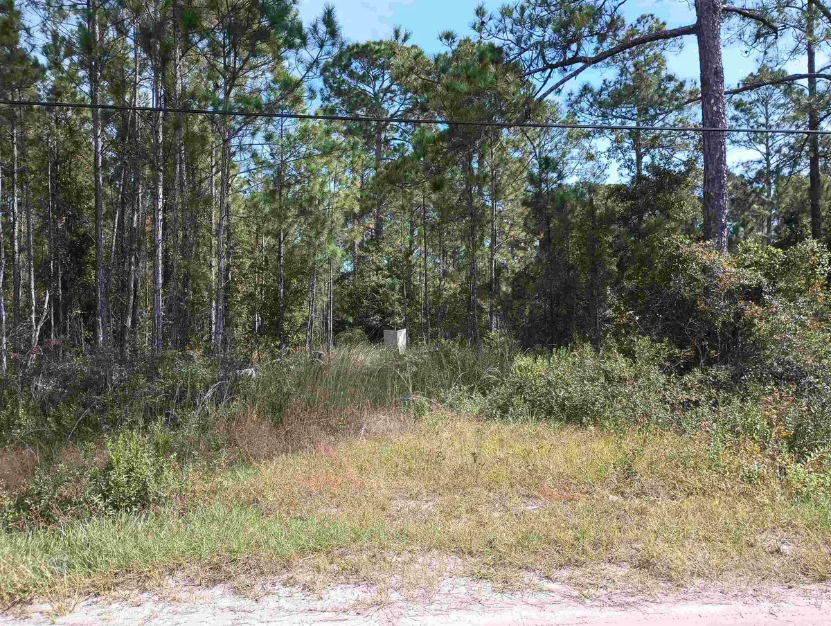 10520 Beckenger Ave, Hastings, FL 32145 - #1