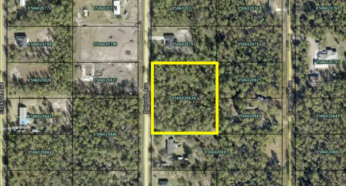 10270 Delgado Ave, Hastings, FL 32145 - #1