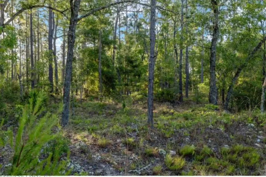 7395 Hoosier Ave, Keystone Heights, FL 32656 - #3