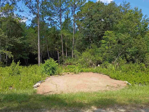 10545 Zigler Ave, Hastings, FL 32145