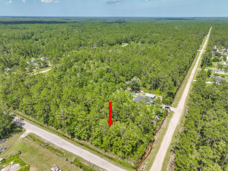 4370 Palatka Blvd, Hastings, FL 32145 - #3