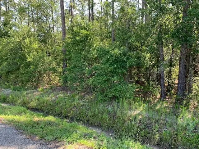 10040 Isaacson Ave, Hastings, FL 32145 - #1
