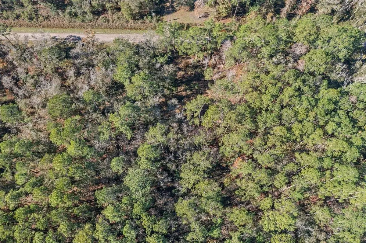 10690 Gregory, Hastings, FL 32145 - #1
