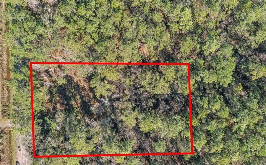 10690 Gregory, Hastings, FL 32145 - #3