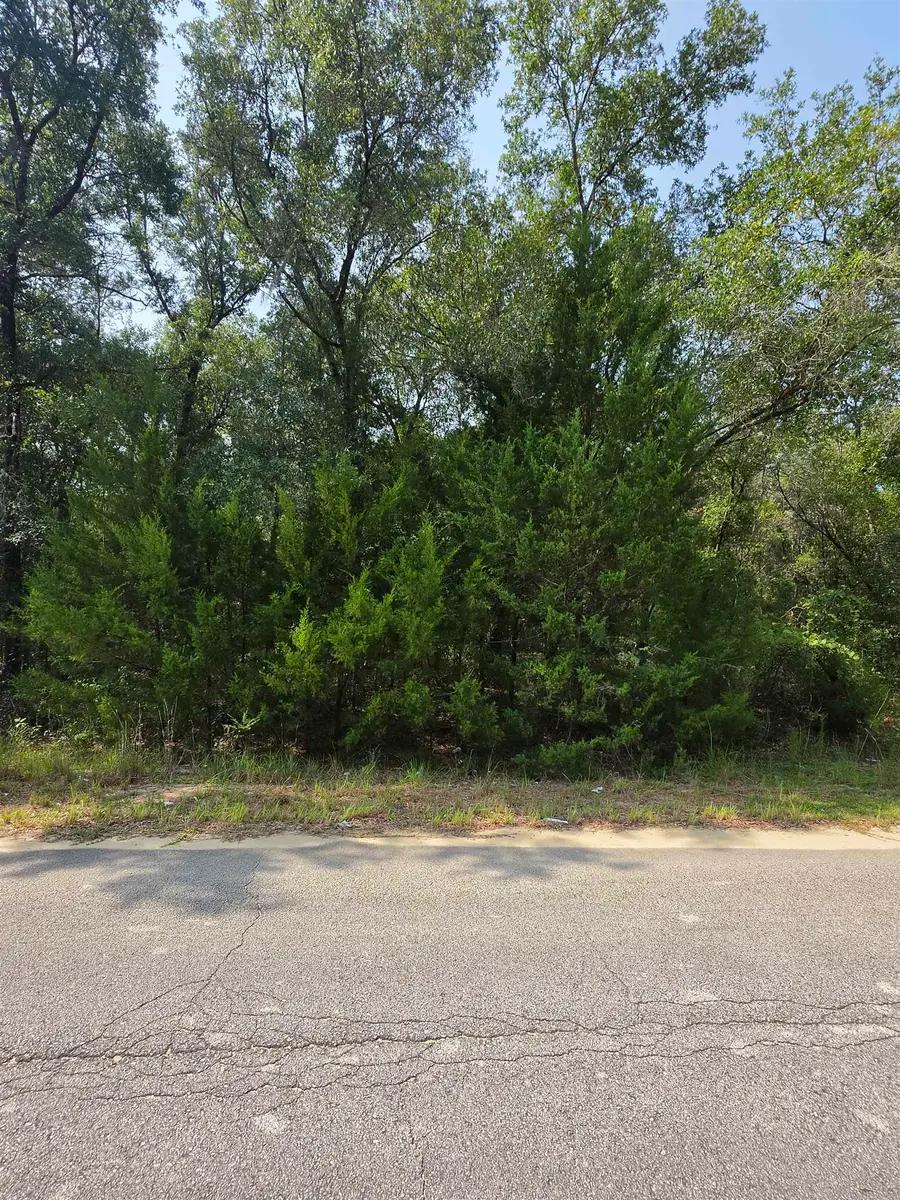 Duval Avenue, Interlachen, FL 32148 - #2
