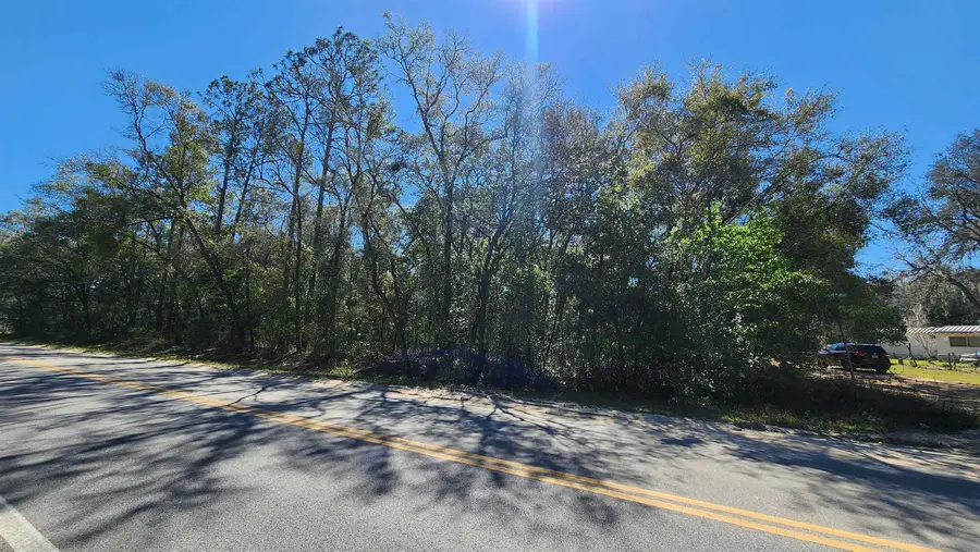 Cordell Ave, Interlachen, FL 32148 - #2