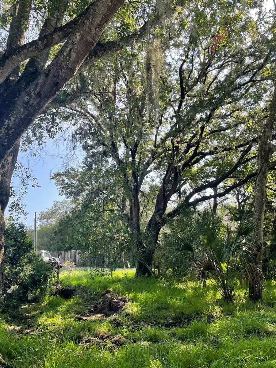 0 Madrid St Lot 1, Saint Augustine Beach, FL 32080 - #3