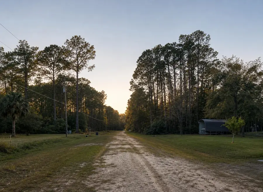 118 Rosewood St, Georgetown, FL 32139 - #3
