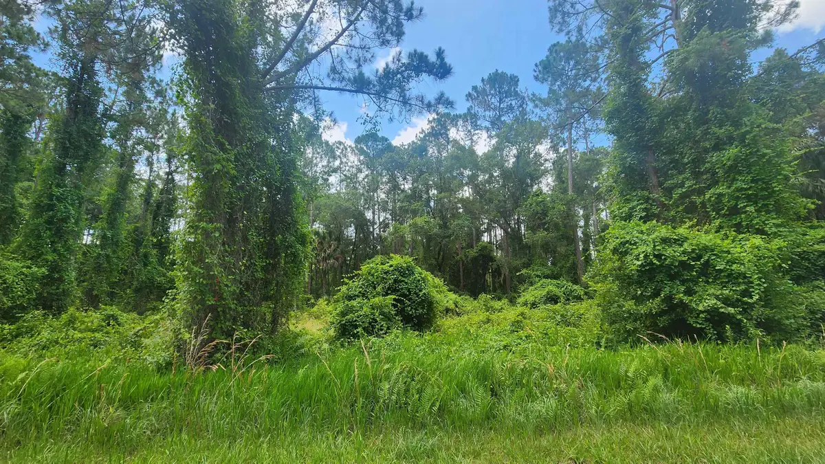 123 2nd St, Georgetown, FL 32139 - #1