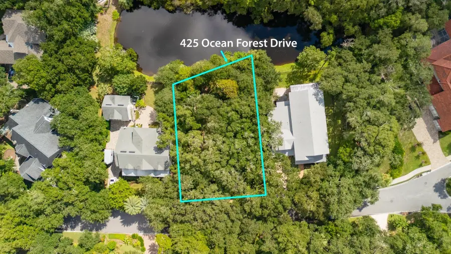 425 Ocean Forest Dr, Saint Augustine, FL 32080 - #2