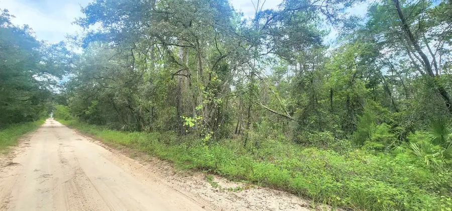 Minnestoa Ave, Satsuma, FL 32189 - #2