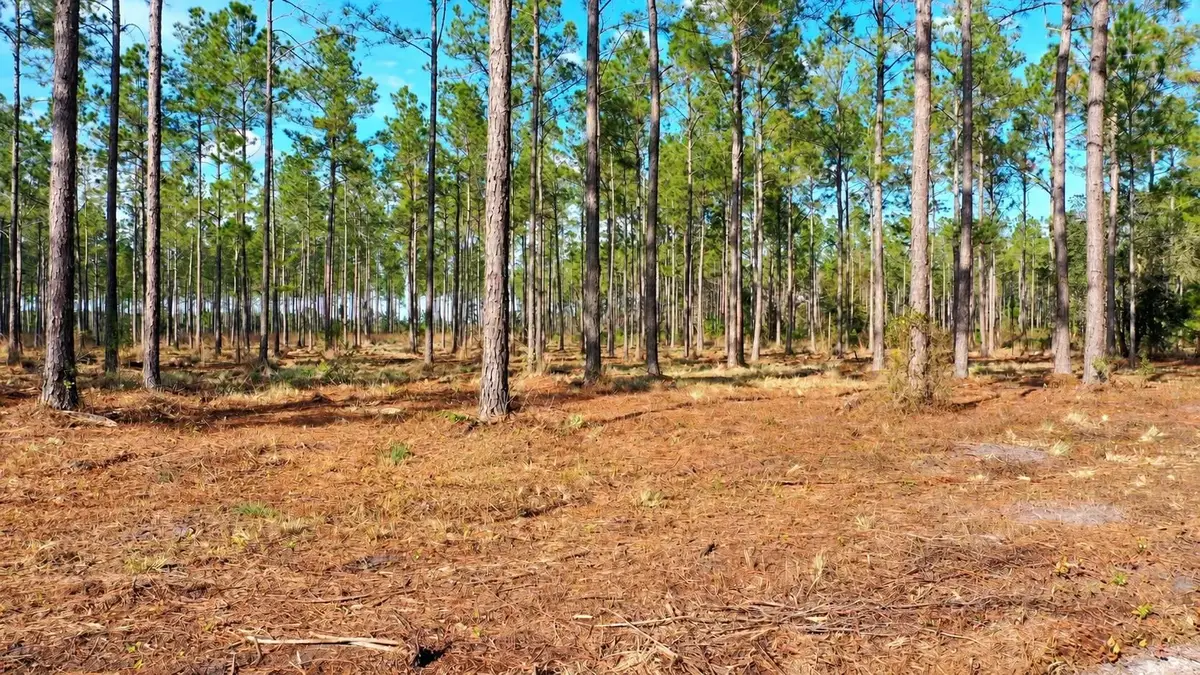 TBD NW County Road 235 Lot 23, Lake Butler, FL 32054 - #1