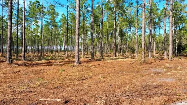TBD NW County Road 235 Lot 23, Lake Butler, FL 32054