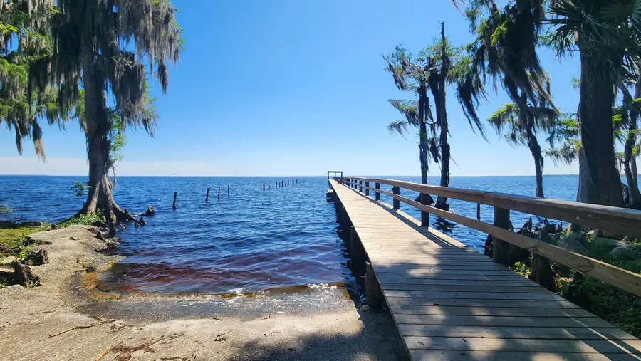 220 2nd St, Georgetown, FL 32139 - #2