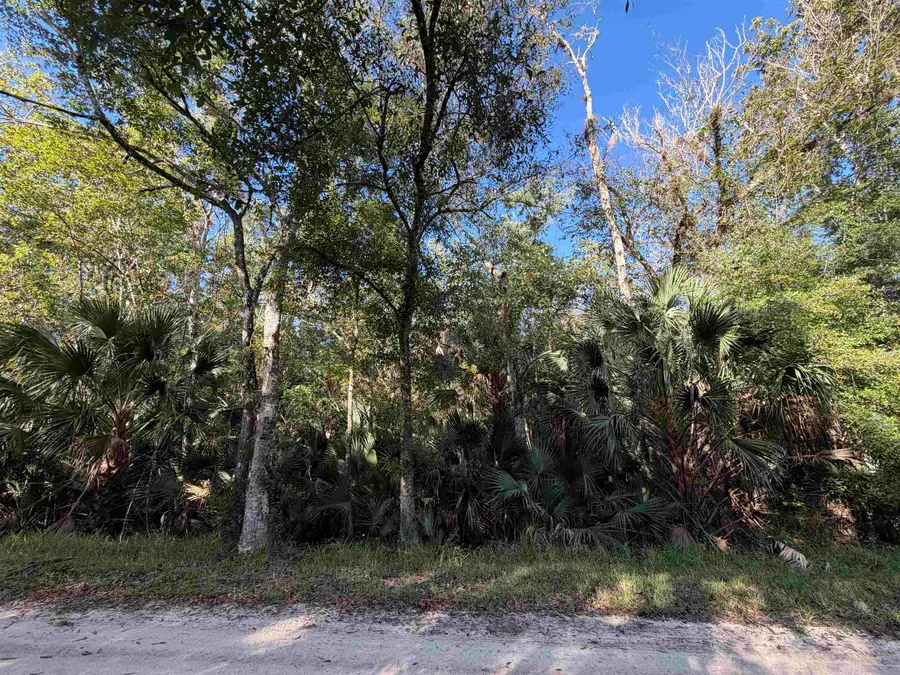 1714 Coconut Blvd, Bunnell, FL 32110 - #2