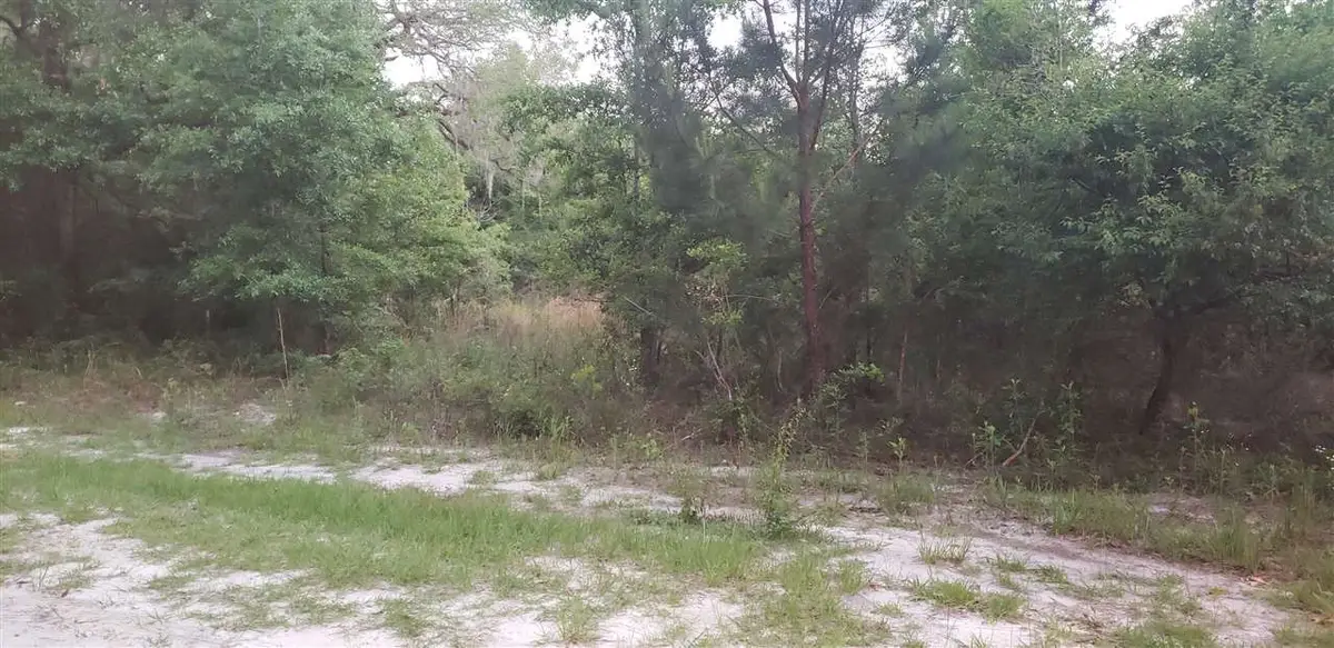 XXXX Mcphaul Road, Crawfordville, FL 32327 - #1
