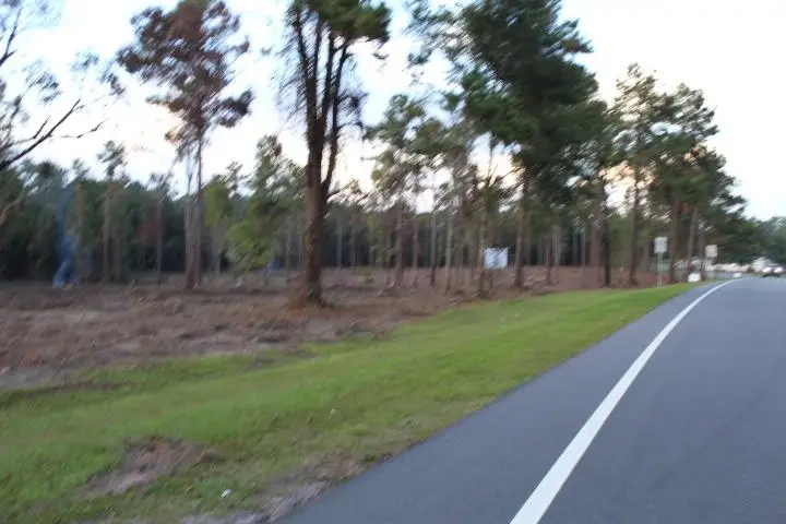 xxx Fla-ga-hwy Highway, Havana, FL 32333 - #2