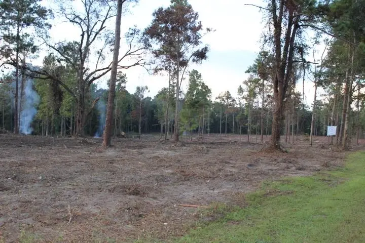 xxx Fla-ga-hwy Highway, Havana, FL 32333 - #3