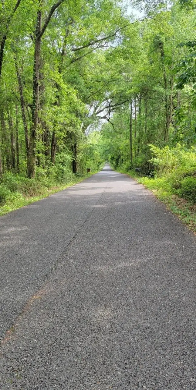 170 Ellis Road, Tallahassee, FL 32317 - #1