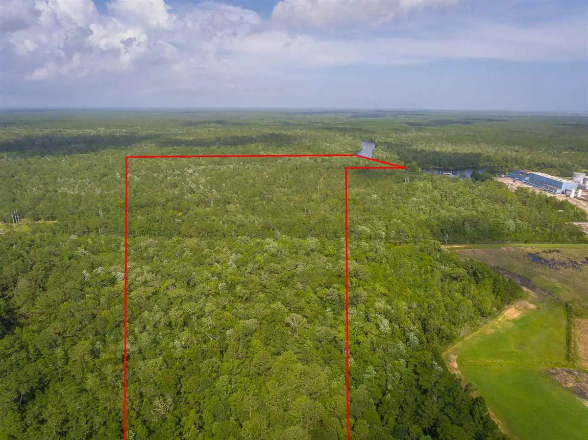 73 Hope Lane, Saint Marks, FL 32355 - #1
