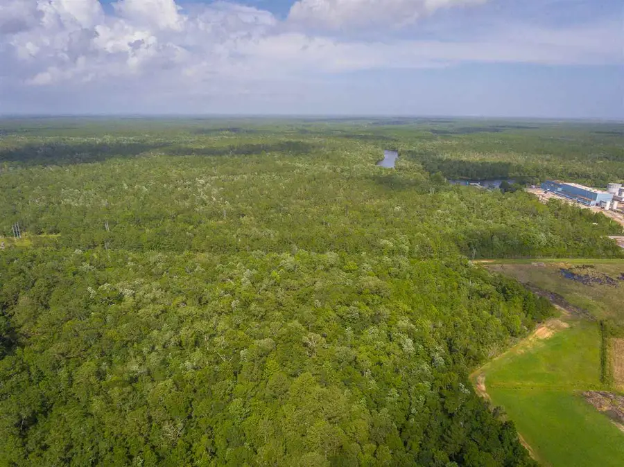 73 Hope Lane, Saint Marks, FL 32355 - #2