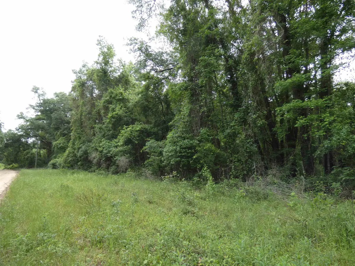 tbd E 2nd Way, Greenville, FL 32331 - #1
