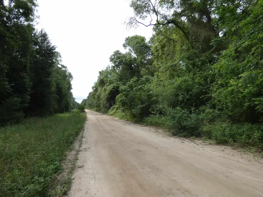 tbd E 2nd Way, Greenville, FL 32331 - #2