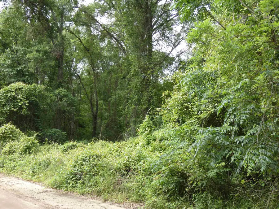 tbd E 2nd Way, Greenville, FL 32331 - #3