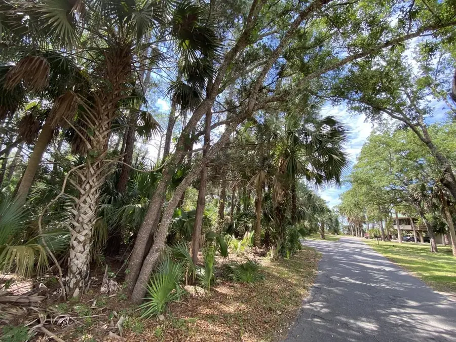 xxx Carrol Drive, Crawfordville, FL 32327 - #2