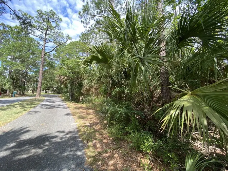 xxx Carrol Drive, Crawfordville, FL 32327 - #3