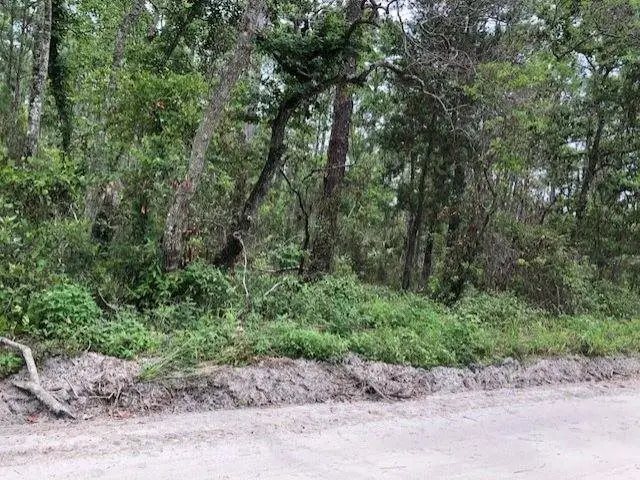 Lot 9 Surf Road, Ochlockonee Bay, FL 32346 - #1