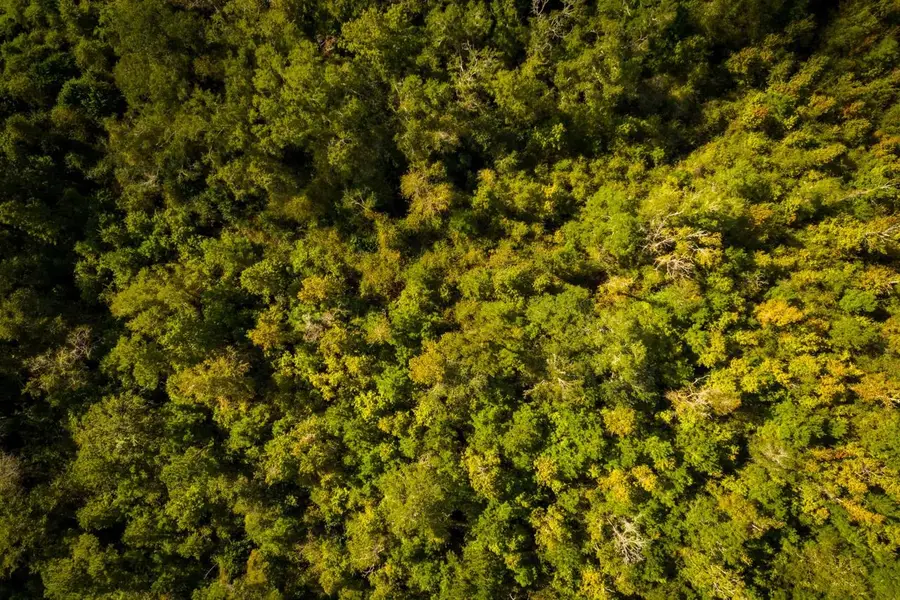 XXXX Strong Road, Quincy, FL 32351 - #3