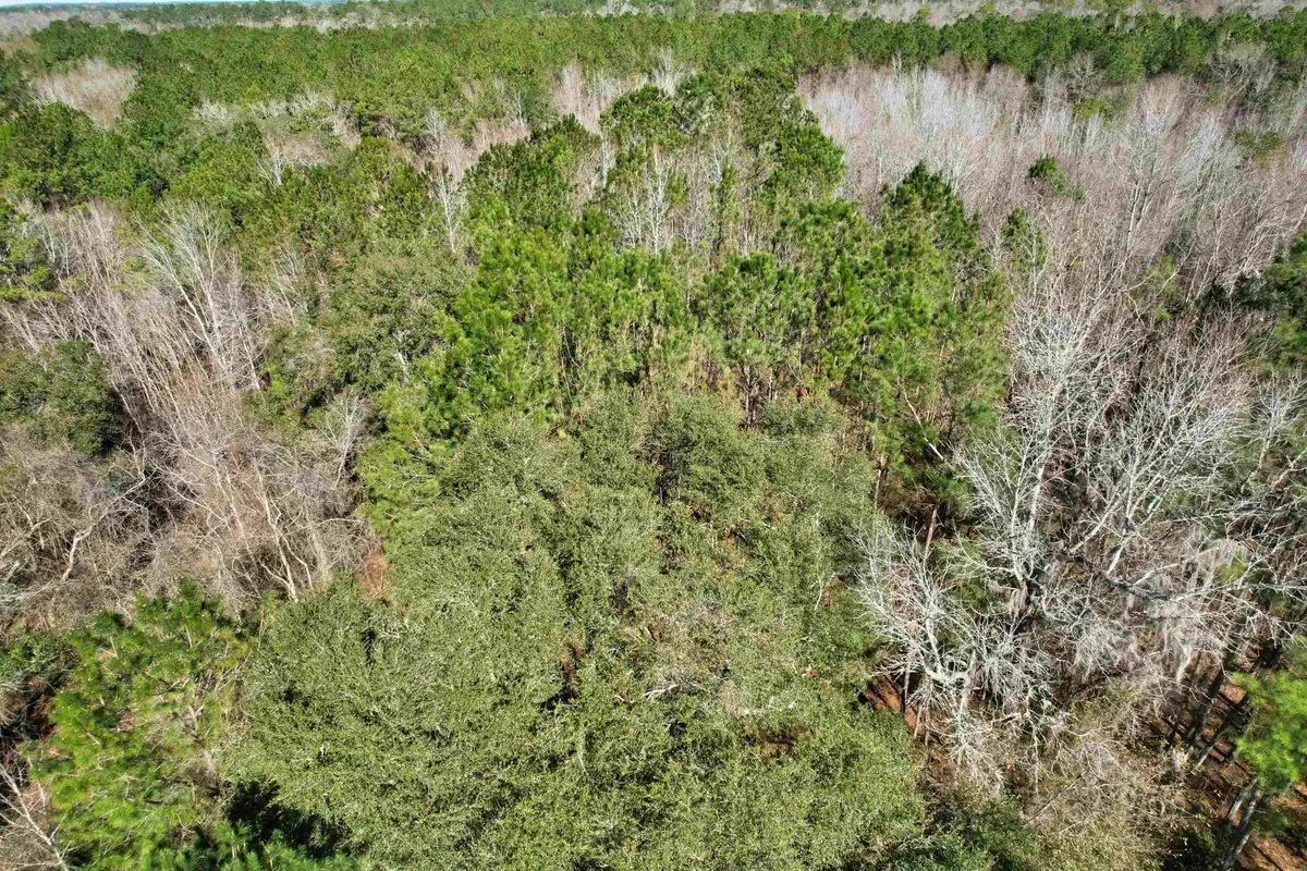 2894 SW Overstreet Avenue, Greenville, FL 32331 - #1