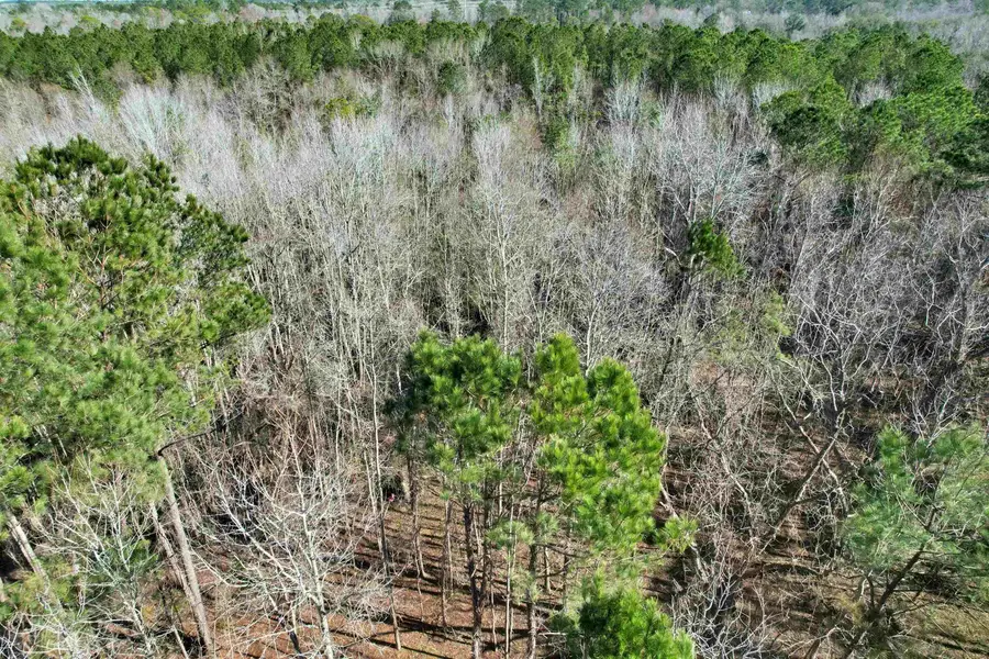 2894 SW Overstreet Avenue, Greenville, FL 32331 - #3