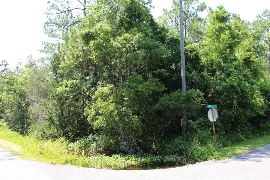 Lot 9 Block A Hobbs Way, Saint Marks, FL 32355 - #2