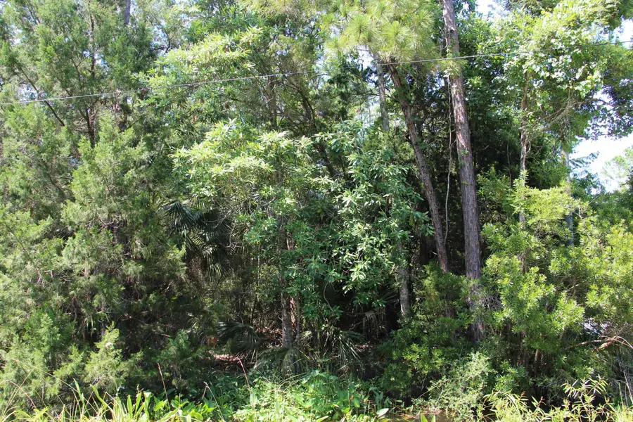 Lot 9 Block A Hobbs Way, Saint Marks, FL 32355 - #3